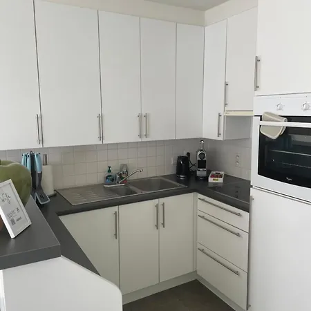 Tolhoren Centrum Lejlighed Oostende